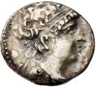 Philistia, Askalon. Silver Tetradrachm (13.55 g), 98/7-54/3 BC About Fine