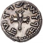 Judaea, The Jewish War. Silver 1/2 Shekel (6.71 g), 66-70 CE VF - 2