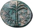 Judaea, Bar Kokhba Revolt. AE Medium Bronze (18.66 g), 132-135 CE VF