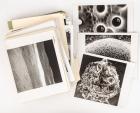 Dr. Paul W. Gast, Chief of Planetary Sciences: Important Folio of Electron Microscopy Photos of Apollo 11 Lunar Samples + 150 NA