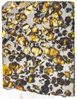 Large 201 Gram Esquel, The Most Beautiful Pallasite