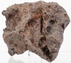 20.5 Pound Campo del Cielo Iron Nickel Meteorite