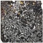 Large Section of Seymchan Pallasite