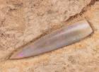 Opalized 120 Million Year Old Coober Pedy Fossil Belemnite