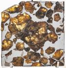 29.6 Gram Esquel: The Most Beautiful Pallasite