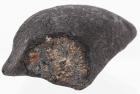 Chelyabinsk 39.6 Gram Meteorite from the Largest Meteorite Fall Since 1907